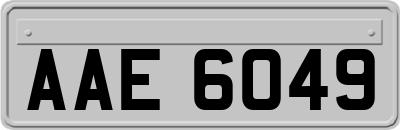 AAE6049