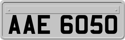 AAE6050