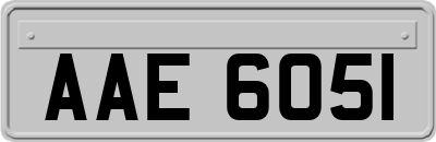 AAE6051