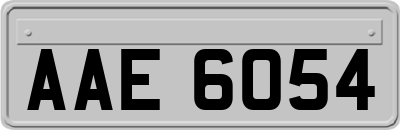 AAE6054