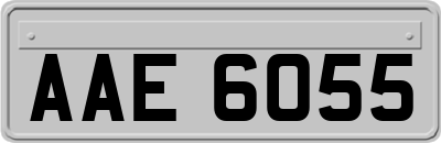 AAE6055