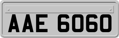 AAE6060