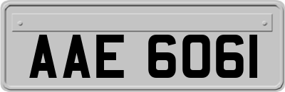 AAE6061