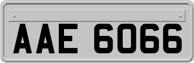 AAE6066