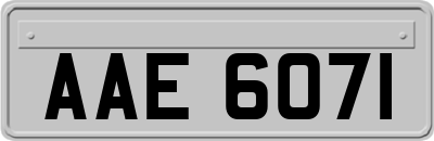 AAE6071