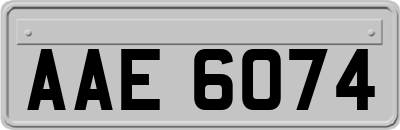 AAE6074