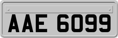 AAE6099