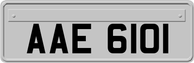 AAE6101