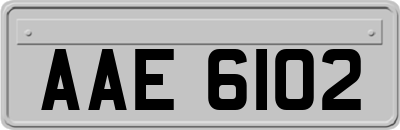 AAE6102