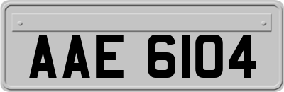 AAE6104