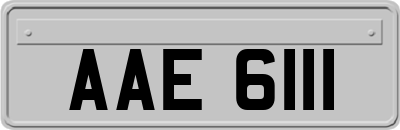 AAE6111