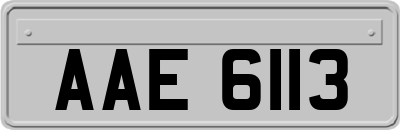 AAE6113