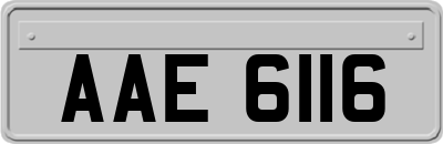 AAE6116