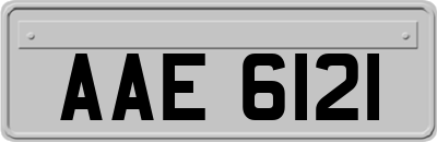 AAE6121