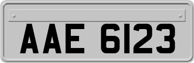 AAE6123