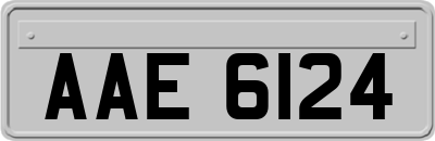 AAE6124