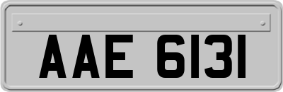 AAE6131