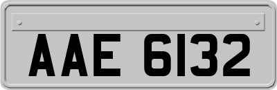 AAE6132