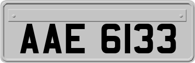 AAE6133