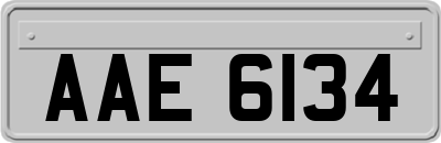 AAE6134