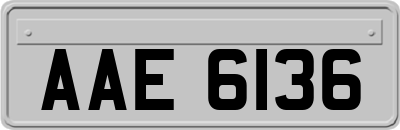 AAE6136