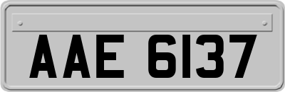 AAE6137