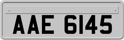 AAE6145