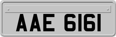 AAE6161