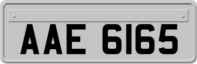 AAE6165