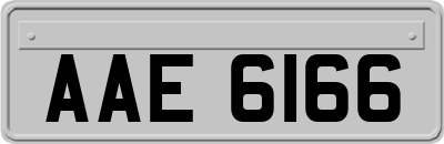 AAE6166