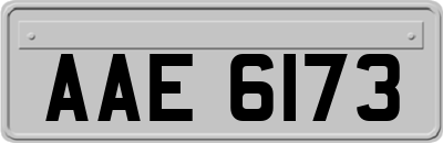 AAE6173