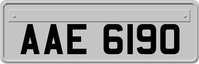 AAE6190