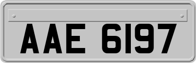 AAE6197