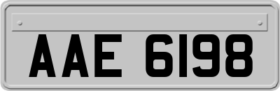 AAE6198