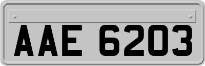 AAE6203