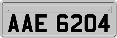 AAE6204