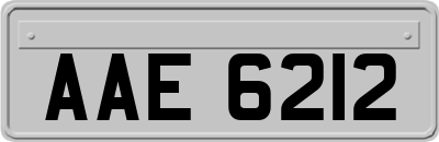 AAE6212