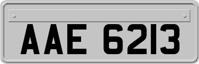 AAE6213