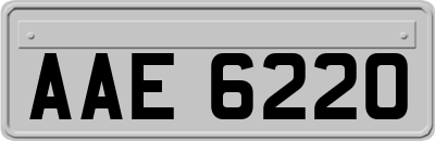 AAE6220