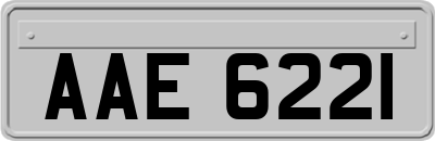 AAE6221