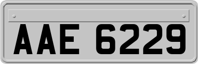 AAE6229