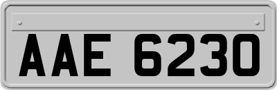 AAE6230