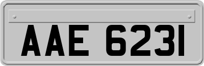 AAE6231