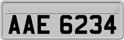 AAE6234