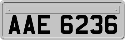 AAE6236