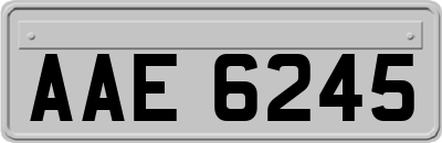 AAE6245