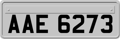 AAE6273