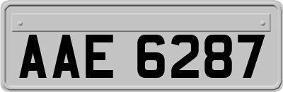 AAE6287