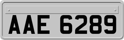 AAE6289