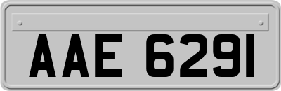 AAE6291